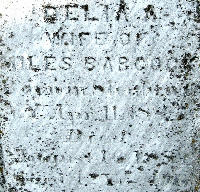 CHATFIELD Delia Alma 1847-1889 grave section.jpg